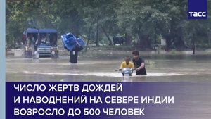 Число жертв дождей и наводнений на севере Индии возросло до 500 человек