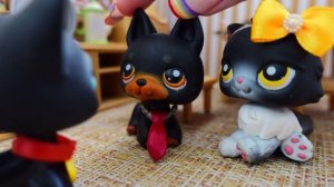 LPS сериал: "Летний роман" 1 серия