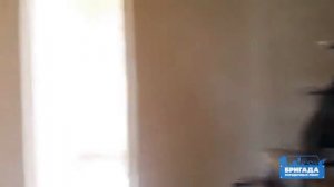 Видеоотзыв по механизированной штукатурке №3