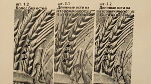 20 копеек 1979 года. Цена монеты разновидности и браки.