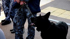 В Тверской области прошли мероприятия, посвящённые Дню солидарности в борьбе с терроризмом