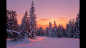 В НЕБЕ ГОЛОСА СЛЫШНЫ, Авторские песни Светланы Буреевой.