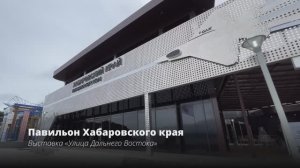 Павильон Хабаровского края на выставке «Улица Дальнего Востока» ВЭФ-2025, 3 сентября 2025 года