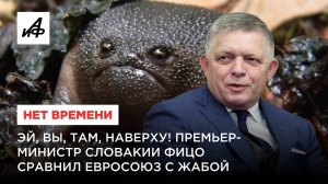 Эй, вы, там, наверху! Премьер-министр Словакии Фицо сравнил Евросоюз с жабой