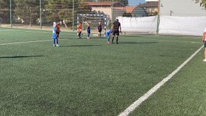 04-09-2025 Инкомспорт 2017 - Жасмин 2017