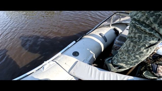 Щука, ловля на поверхностные приманки , река Пур ЯНАО 09.08.2025 смотреть онлайн