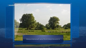 Международный день благотворительности. Календарь Губернии от 5 сентября