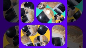 1000033821.mp4(Собака наблюдает за устройством каркаса для откосов у оконных проёмов в доме А-фрейм)