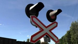 Транспортная прокуратура проверяет ДТП на железнодорожном переезде в Ленобласти