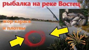 Осенний ЖОР КАРАСЯ и ПЛОТВЫ на реке Востец!!! Рыбалка в конце августа 2025 на реке Востец.