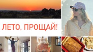 Будни мамы | Творожная выпечка, о родословной, на берегу Оки, уборка перед осенью 🎞️🧺🍪