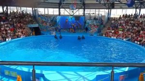 VID-20250826-WA0062.mp4