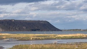 Возле промплощадки Кольской ГМК в Мончегорске снова заметили лебедей