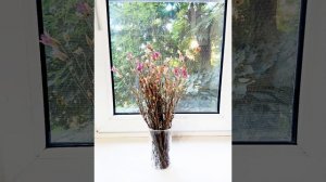 Нежность природы