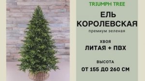 Triumph Tree - Обзор искусственной ели Королевская премиум зеленая