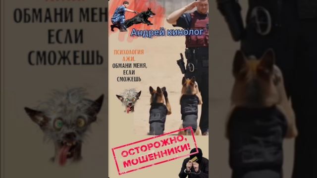 Курьеры,продлеватели и прочии.