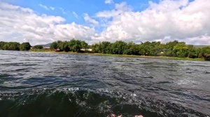 спорт заплыв 4 сентября .2 .