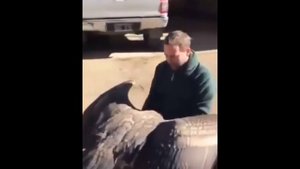 ВИДЕО ПРИКОЛЫ ОНЛАЙН / ОНЛАЙН ВИДЕО ПРИКОЛЫ СМОТРЕТЬ ОНЛАЙН / КЛАССНЫЕ ВИДЕО / СМЕШНОЕ ВИДЕО