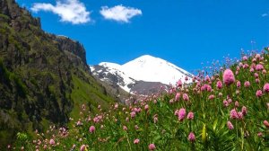 Расслабляющая музыка, ЗВУКИ ПРИРОДЫ.