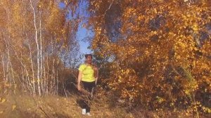 Я приглашаю  Вас ,в осень..🍂🍁#videovikа