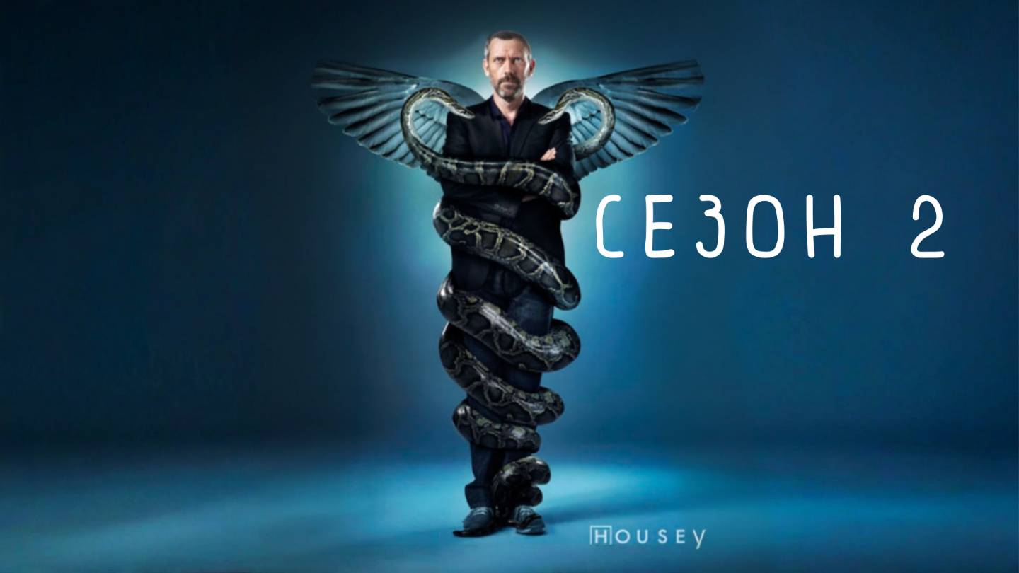 Сериал Доктор Хаус — 2 сезон 22 серия / House, M.D. смотреть онлайн