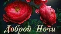 Доброй ночи. Новые музыкальные открытки пожелания.