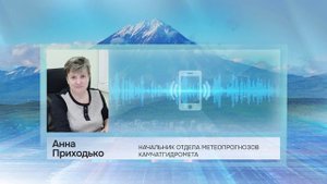 РАБОЧАЯ НЕДЕЛЯ НА ТЕРРИТОРИИ КРАЕВОЙ СТОЛИЦЫ ЗАКОНЧИТСЯ ДОЖДЯМИ • НОВОСТИ КАМЧАТКИ