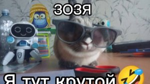 супер смешно