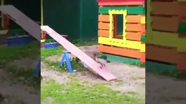 КЛАССНЫЕ ВИДЕО СМОТРЕТЬ ВИДЕО ПРИКОЛЫ / ПРИКОЛЬНОЕ ВИДЕО / СМЕШНЫЕ ВИДЕО / РЖАЧНЫЕ ВИДЕО