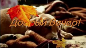 Самые красивые пожелания с добрым вечером - Красивое видео пожелания доброго вечера