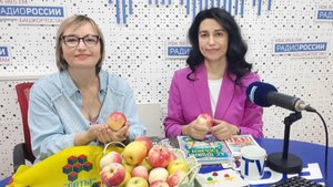 Накануне Дня знаний "Переплет" пригласил поговорить о концепте "яблоко"