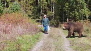 Вовка и медведь
