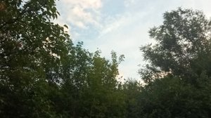 КОМПОТ из абрикосов на зиму с Ларой Любовь .