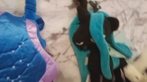 Пони сёстры 1 серия