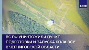 ВС РФ уничтожили пункт подготовки и запуска БПЛА ВСУ в Черниговской области