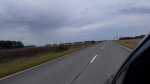 Косули . Дикая природа Сибири