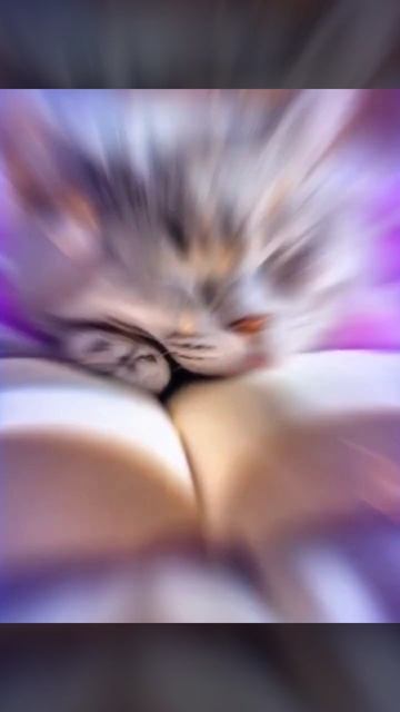 Спокойной ночи 😴🌙✨💋