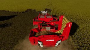 КСУП"Копаткевичи"Уборка картофеля.