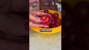 Заправка для супов без соли, сахара и уксуса + Квашеная аджика