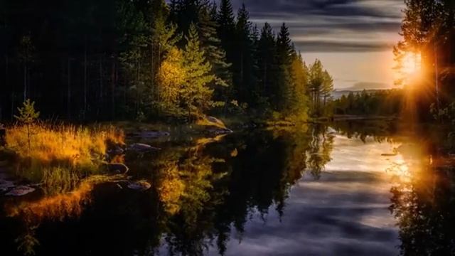 Мистика. Страшные истории про лес. Охотничьи истории. Аудиокнига.