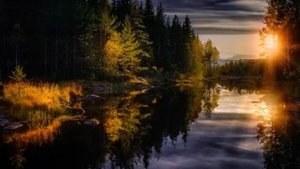 Мистика. Страшные истории про лес. Охотничьи истории. Аудиокнига.