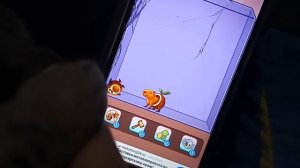 Кот я играет