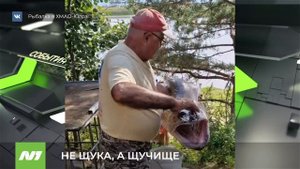 Житель Нижневартовска поймал гигантскую щуку