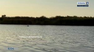 Дельфин удивил жителей станицы Бриньковской, появившись в Азовском лимане