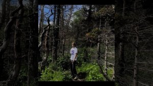 lv_0_20250820202142.mp4