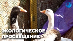 Центр реабилитации диких животных "Солнечная птица" получил федеральный грант