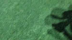 Ксения ФРОЛОВНА 2