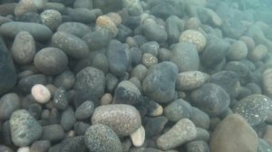 В море с головой