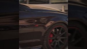 SERGEEV, Плага - Horny / Скоро на всех площадквз