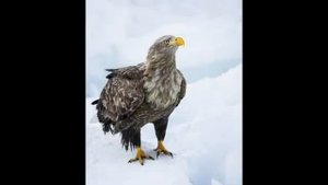 Обсуждение_темы___Знак_антихриста_